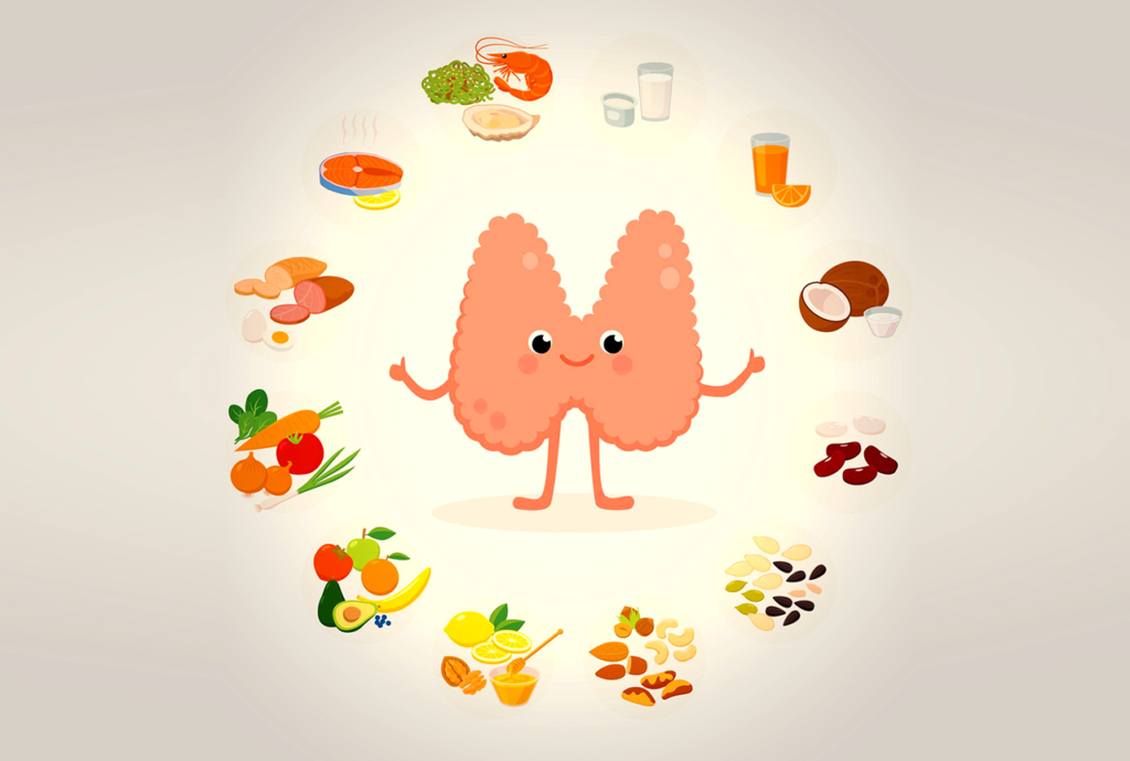 15 aliments alliés de la thyroïde qui lui font du bien Santé, Santé intestinale Shutterstock 572662429 1 1 1